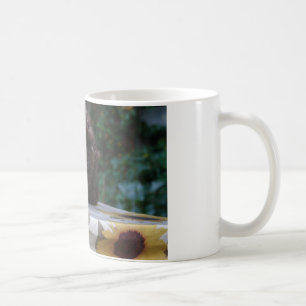 Caneca De Café Gato preto irritado