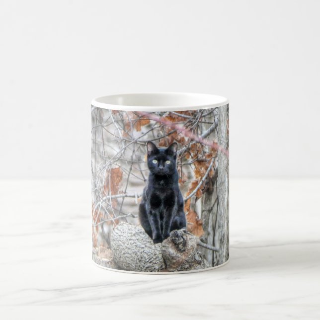 Caneca De Café Gato Preto Sentado ao Ar Livre (Centro)