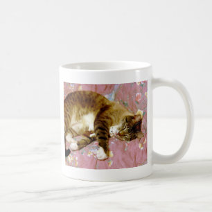 Caneca De Café Gato Real, Gato Falso