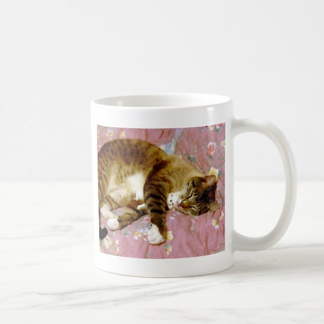 Caneca De Café Gato Real, Gato Falso  (Direita)