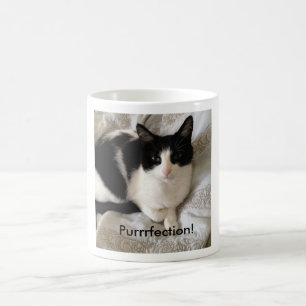 Caneca De Café Gato sofisticado do café-bebendo: "Purrrfection!