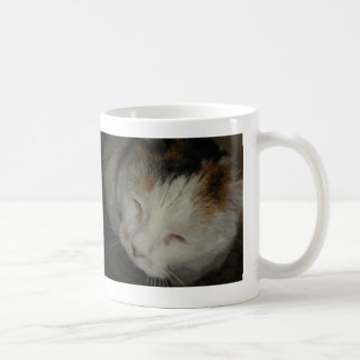 Caneca De Café Gato Tricolor Sonolento