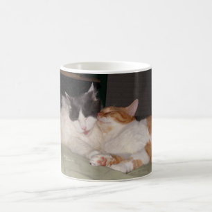 Caneca De Café Gatos Cachorros Dormindo Gatos Regra Mug