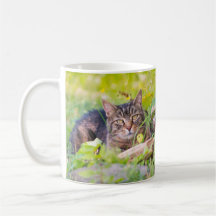 Gatos de celeiro - Mug de café de Elle & Mew