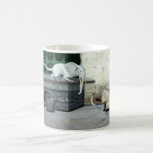 Caneca De Café Gatos Elefantes Adoráveis