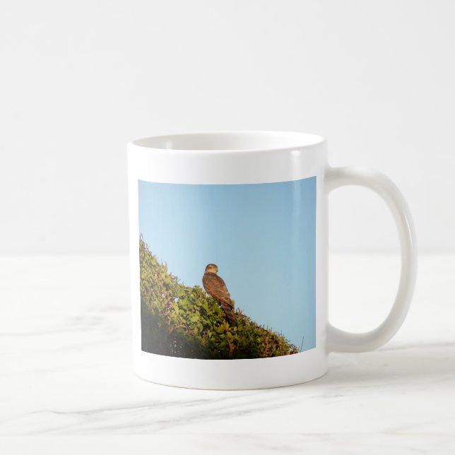 Caneca De Café Gavião-americano (Direita)