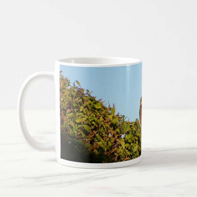 Caneca De Café Gavião-de-barriga-branca (Esquerda)