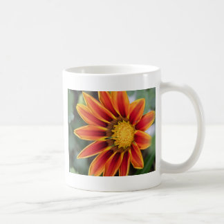 Caneca De Café Gazania Mug