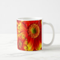 Gerbera Daisies Amarelo e Laranja