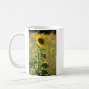Caneca De Café Girassol Amarelo Solteiro