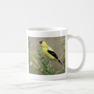 Caneca De Café Goldfinch