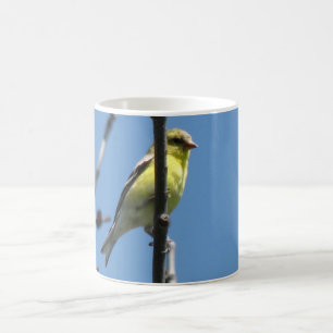 Caneca De Café Goldfinch em uma árvore