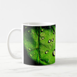 Caneca De Café Gotas de Água em uma Folha