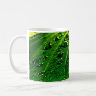 Caneca De Café Gotículas de chuva numa folha