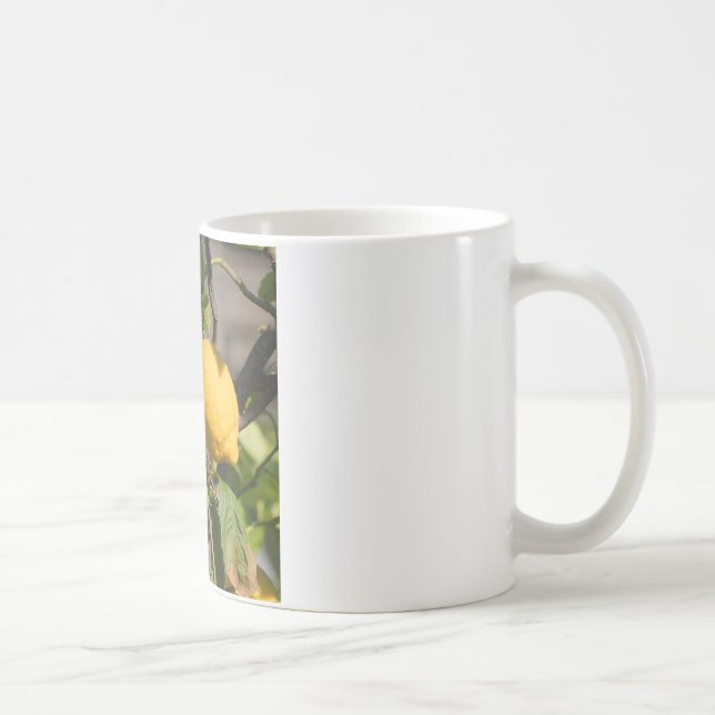 Caneca De Café Gráficos de Limão Espanhol (Direita)
