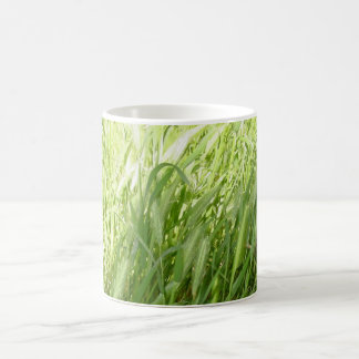 Caneca De Café Grama Sunlit