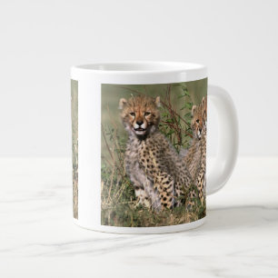 Caneca De Café Grande África; Quênia; Masai Mara; Três filhotes de chita