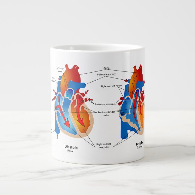 Caneca De Café Grande Anatomia Mug-Heart (Frente)