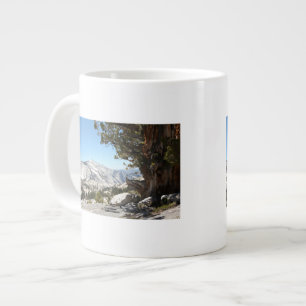 Caneca De Café Grande Árvore Antiga no Parque Nacional Yosemite
