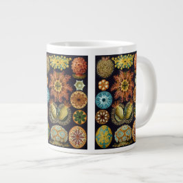 Caneca De Café Grande Ascidiae por Ernst Haeckel, Animais Marinhos Vinta