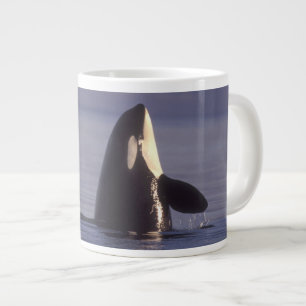 Caneca De Café Grande Baleia Assassina Orca Spyhopping (Orca orcinus) pe