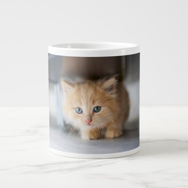 Caneca De Café Grande Bebês Mais Pobres | Fluffy Orange Kitten (Frente)