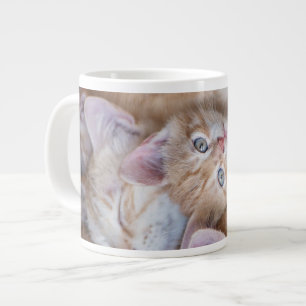 Caneca De Café Grande Bebês Mais Pobres Película De Gato Laranja