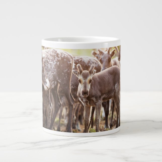 Caneca De Café Grande Bebês Mais Pobres | Svalbard Reindeer (Frente)