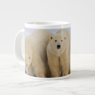 Caneca De Café Grande Canadá, Baía de Hudson. Mãe ursa polar com dois