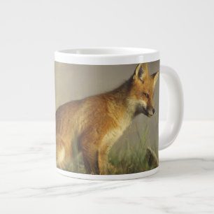 Caneca De Café Grande Canadá, Quebec. Filhote de raposa vermelha ao nasc