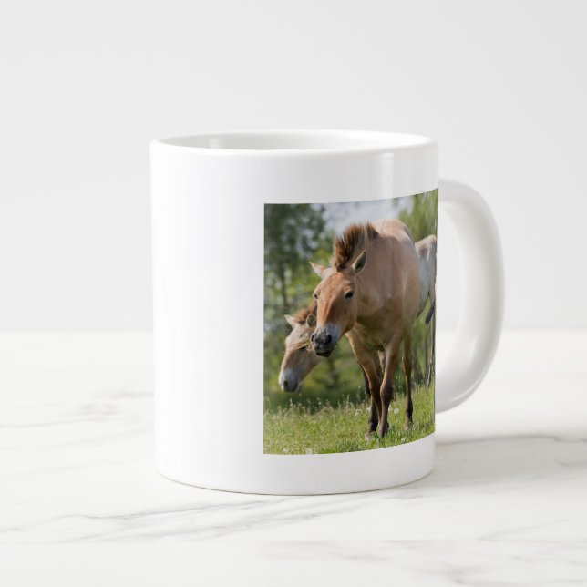 Caneca De Café Grande Cavalo de Przewalski e potro andando (Frente Esquerda)