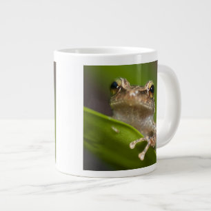 Caneca De Café Grande Coqui comum, Eleutherodactylus coqui