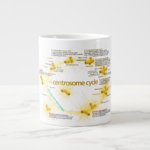 Caneca De Café Grande Diagrama do ciclo do centrosoma