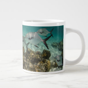 Caneca De Café Grande Escola de Peixes Permit