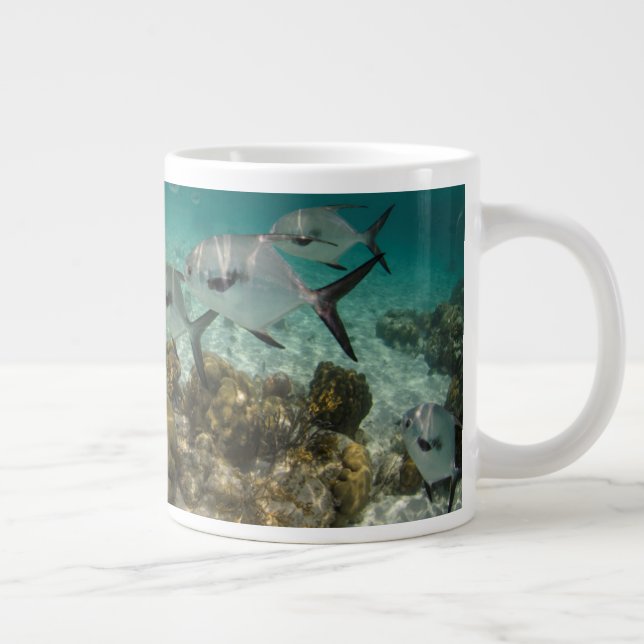 Caneca De Café Grande Escola de Peixes Permit (Direita)
