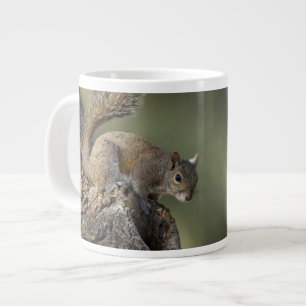 Caneca De Café Grande Esquilo-cinzento-oriental, ou esquilo-cinzento