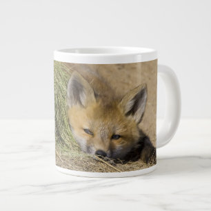 Caneca De Café Grande EUA, Colorado, Breckenridge. Alerta raposa vermelh