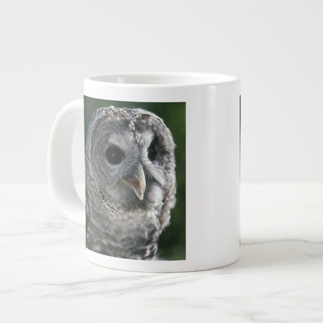 Caneca De Café Grande EUA, Estado de Washington. Coruja-barreada (Strix  (Frente Esquerda)