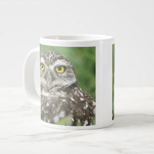 Caneca De Café Grande EUA, Flórida, Cape Coral, Coruja-buraqueira (Athen