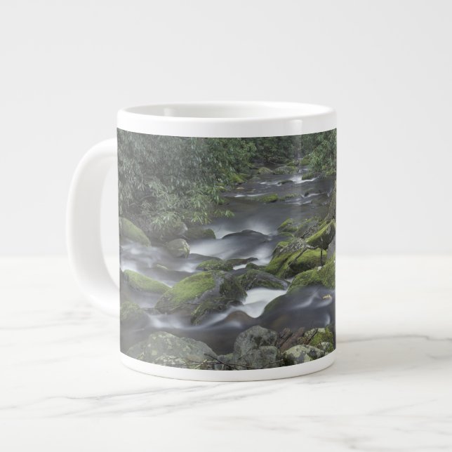 Caneca De Café Grande EUA, Tennessee, Excelente Mountains National 3 (Frente Esquerda)