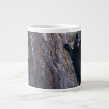 filhotes de ursos pretos