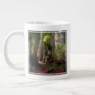 Caneca De Café Grande Florestas   Sequoias Forest California