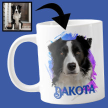 Foto de cachorro Border Collie azul fofa moderna e