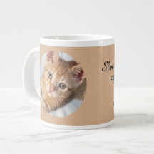 Foto de Gato, Texto, substituível, Divertido, Aman