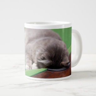 Caneca De Café Grande Gatinho Jogando Piscina