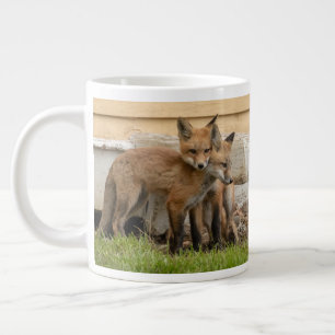 Caneca De Café Grande Kits de Raposa Adoráveis