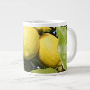 Caneca De Café Grande Limões amarelos frescos numa árvore