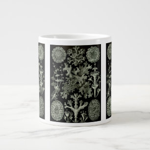 Caneca De Café Grande Líquen por Ernst Haeckel, Plantas da Natureza Vint