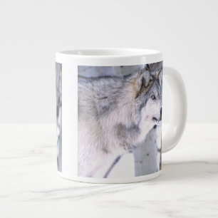 Caneca De Café Grande Lobo Cinzento, Canis lupus, Animal de Filme (Utah)
