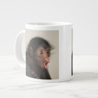 Macaco-aranha-de-cara-vermelha Ateles paniscus)